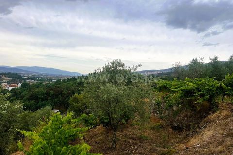 Landejendom i Covilha, Castelo Branco, Covilha - € 77.000 | Ref: 394250012 - foto 27