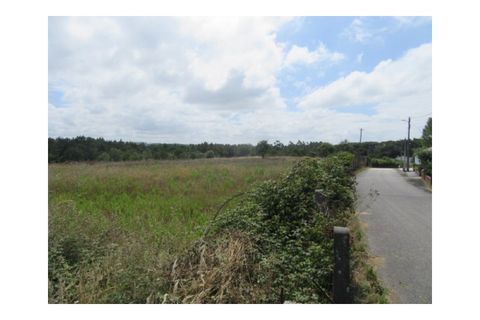 Terra a Monte Real, Leiria, Monte Real - € 450.000 | Ref: mg1629 - foto 2