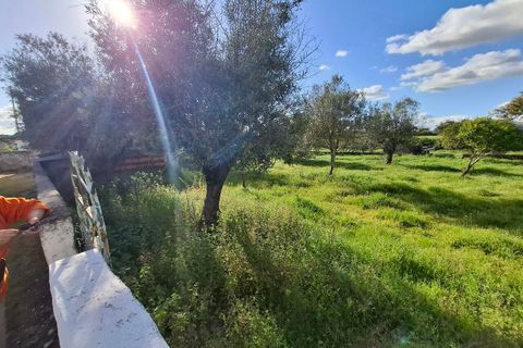 Farm i Alpalhao, Portalegre, Alpalhao - € 47.500 | Ref: SF-SAFTI:006768 - foto 3