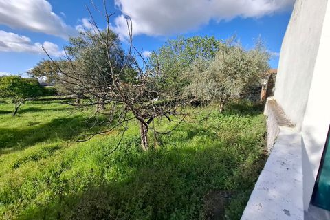 Farm i Alpalhao, Portalegre, Alpalhao - € 47.500 | Ref: SF-SAFTI:006768 - foto 4