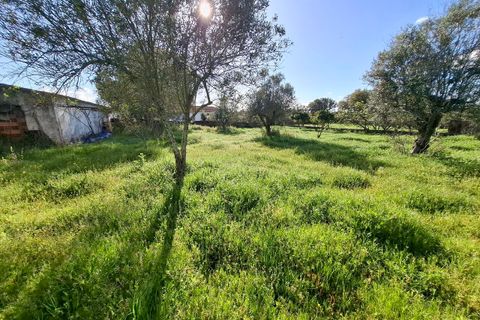 Farm i Alpalhao, Portalegre, Alpalhao - € 47.500 | Ref: SF-SAFTI:006768 - foto 6