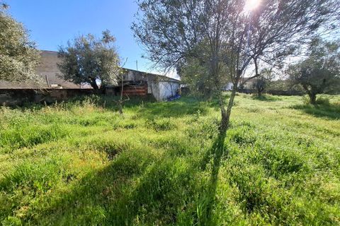 Farm i Alpalhao, Portalegre, Alpalhao - € 47.500 | Ref: SF-SAFTI:006768 - foto 7