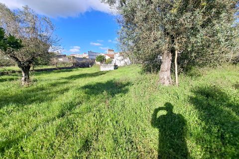 Farm i Alpalhao, Portalegre, Alpalhao - € 47.500 | Ref: SF-SAFTI:006768 - foto 8
