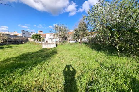 Farm i Alpalhao, Portalegre, Alpalhao - € 47.500 | Ref: SF-SAFTI:006768 - foto 9