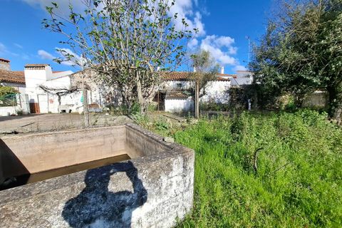 Farm i Alpalhao, Portalegre, Alpalhao - € 47.500 | Ref: SF-SAFTI:006768 - foto 10