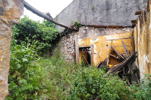 Villa i Ansiao, Leiria, Ansiao - € 24.300 | Ref: SF-SAFTI:006720 - foto 12