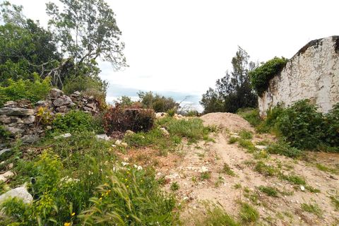 Villa i Ansiao, Leiria, Ansiao - € 24.300 | Ref: SF-SAFTI:006720 - foto 14
