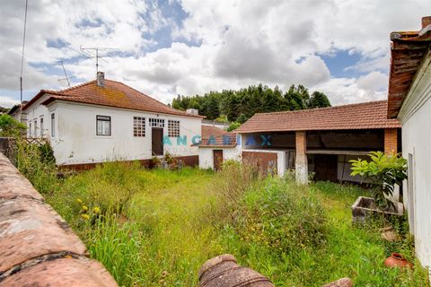 Villa a Batalha, Leiria, Batalha - € 400.000 | Ref: ANG1408 - foto 6