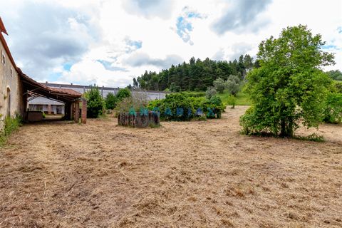 Villa a Batalha, Leiria, Batalha - € 400.000 | Ref: ANG1408 - foto 20