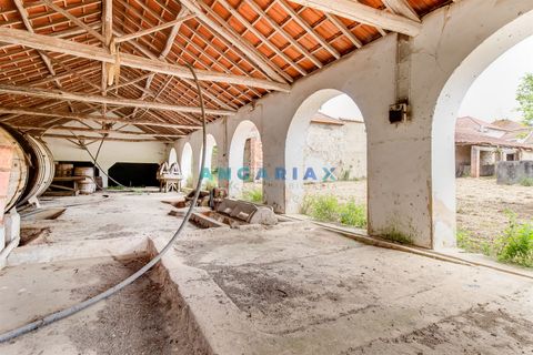 Villa a Batalha, Leiria, Batalha - € 400.000 | Ref: ANG1408 - foto 22