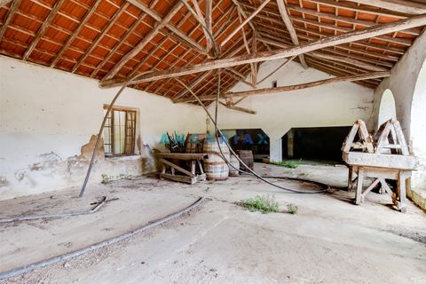 Villa a Batalha, Leiria, Batalha - € 400.000 | Ref: ANG1408 - foto 23