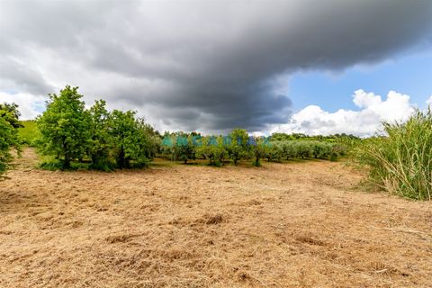Villa a Batalha, Leiria, Batalha - € 400.000 | Ref: ANG1408 - foto 25