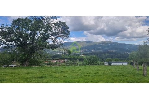 Farm i Ponte de Lima, Viana do Castelo, Ponte de Lima - € 750.000 | Ref: MAS_30 - foto 1