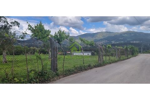 Farm i Ponte de Lima, Viana do Castelo, Ponte de Lima - € 750.000 | Ref: MAS_30 - foto 4