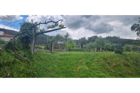 Farm i Ponte de Lima, Viana do Castelo, Ponte de Lima - € 750.000 | Ref: MAS_30 - foto 5