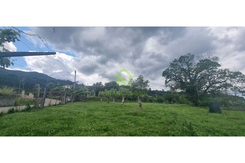 Farm i Ponte de Lima, Viana do Castelo, Ponte de Lima - € 750.000 | Ref: MAS_30 - foto 6