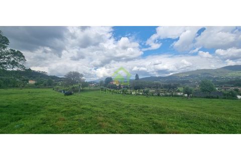Farm i Ponte de Lima, Viana do Castelo, Ponte de Lima - € 750.000 | Ref: MAS_30 - foto 7