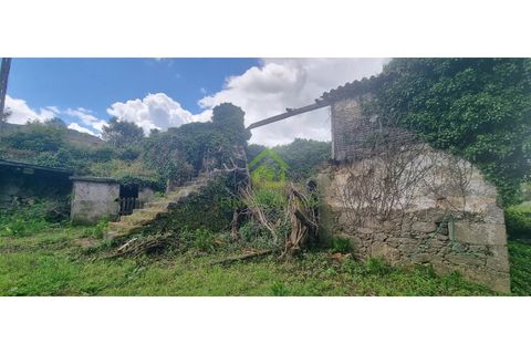 Farm i Ponte de Lima, Viana do Castelo, Ponte de Lima - € 750.000 | Ref: MAS_30 - foto 8