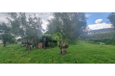 Farm i Ponte de Lima, Viana do Castelo, Ponte de Lima - € 750.000 | Ref: MAS_30 - foto 9