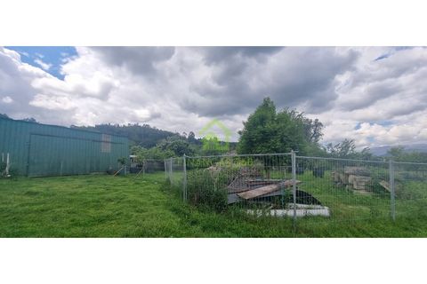 Farm i Ponte de Lima, Viana do Castelo, Ponte de Lima - € 750.000 | Ref: MAS_30 - foto 10