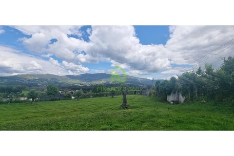 Farm i Ponte de Lima, Viana do Castelo, Ponte de Lima - € 750.000 | Ref: MAS_30 - foto 11