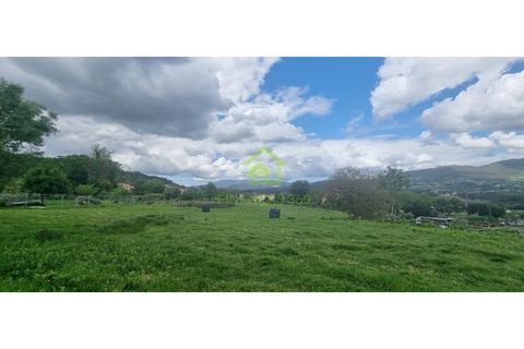 Farm i Ponte de Lima, Viana do Castelo, Ponte de Lima - € 750.000 | Ref: MAS_30 - foto 12
