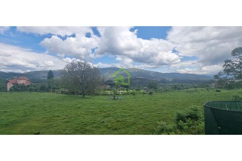 Farm i Ponte de Lima, Viana do Castelo, Ponte de Lima - € 750.000 | Ref: MAS_30 - foto 13