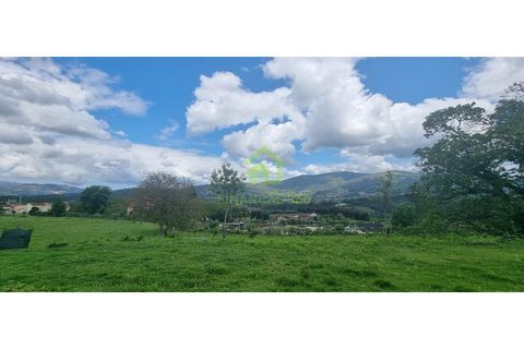 Farm i Ponte de Lima, Viana do Castelo, Ponte de Lima - € 750.000 | Ref: MAS_30 - foto 14