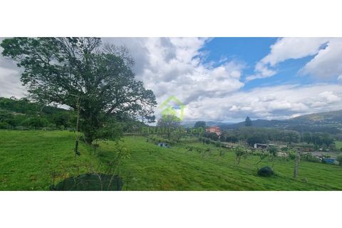 Farm i Ponte de Lima, Viana do Castelo, Ponte de Lima - € 750.000 | Ref: MAS_30 - foto 15