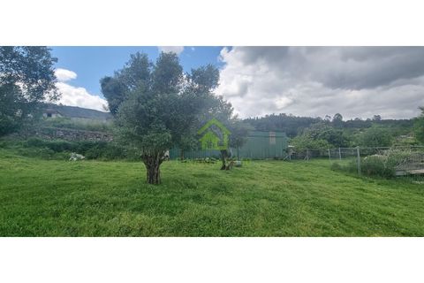 Farm i Ponte de Lima, Viana do Castelo, Ponte de Lima - € 750.000 | Ref: MAS_30 - foto 16
