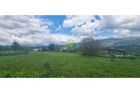 Farm i Ponte de Lima, Viana do Castelo, Ponte de Lima - € 750.000 | Ref: MAS_30 - foto 17