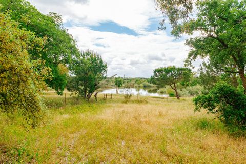 Helårsgrund i Benavente, Santarem, Benavente - € 275.000 | Ref: C0263-01953 - foto 2