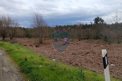 Helårsgrund i Viseu, Viseu, Viseu - € 175.000 | Ref: 2159/V - foto 2