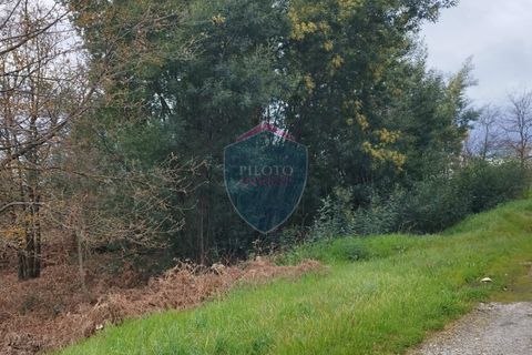 Helårsgrund i Viseu, Viseu, Viseu - € 175.000 | Ref: 2159/V - foto 3