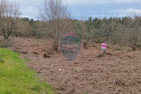 Helårsgrund i Viseu, Viseu, Viseu - € 175.000 | Ref: 2159/V - foto 4