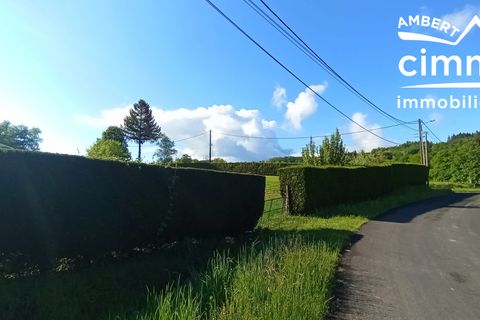 Helårsgrund i Olliergues, Puy-de-Dome, Olliergues - € 24.500 | Ref: 641-CIMMIMMO - foto 5