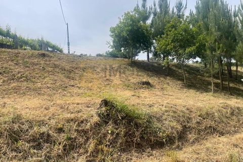 Helårsgrund i Bela, Viana do Castelo, Bela - € 34.000 | Ref: REF570 - foto 4