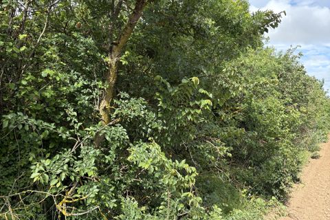 Helårsgrund i Florensac, Herault, Florensac - € 27.800 | Ref: 35572 - foto 5