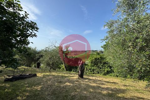 Villa a Longiano, Forli-Cesena, Longiano - € 345.000 | Ref: G-C1-113 - foto 26