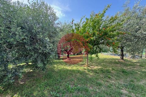 Villa a Longiano, Forli-Cesena, Longiano - € 345.000 | Ref: G-C1-113 - foto 27