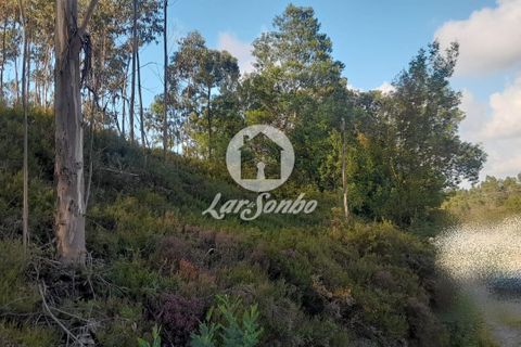 Tomt i Trofa, Porto, Trofa - € 425 000 | Ref: 240-T-25714 - foto 4