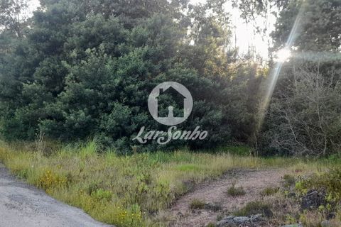 Tomt i Trofa, Porto, Trofa - € 425 000 | Ref: 240-T-25714 - foto 6