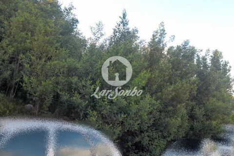 Tomt i Trofa, Porto, Trofa - € 425 000 | Ref: 240-T-25714 - foto 7