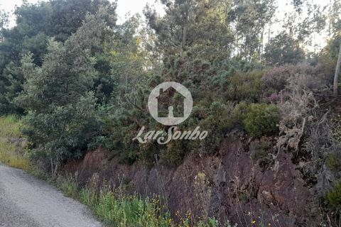 Tomt i Trofa, Porto, Trofa - € 425 000 | Ref: 240-T-25714 - foto 9