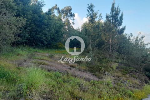 Tomt i Trofa, Porto, Trofa - € 425 000 | Ref: 240-T-25714 - foto 11