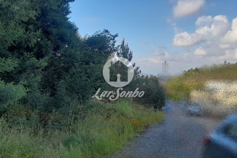 Tomt i Trofa, Porto, Trofa - € 425 000 | Ref: 240-T-25714 - foto 13