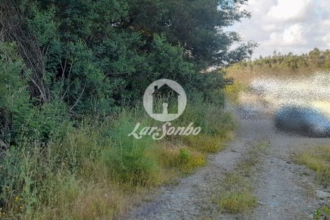 Tomt i Trofa, Porto, Trofa - € 425 000 | Ref: 240-T-25714 - foto 17