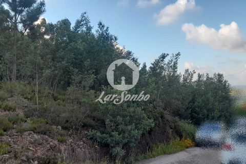 Tomt i Trofa, Porto, Trofa - € 425 000 | Ref: 240-T-25714 - foto 30