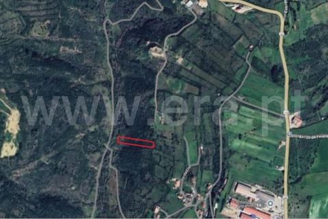 Helårsgrund i Sintra, Lisbon, Sintra - € 18.000 | Ref: 088250012 - foto 1