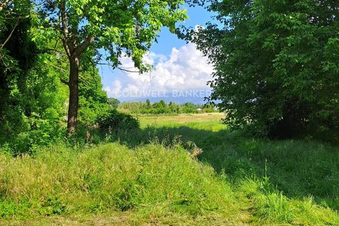Villa a Pietrasanta, Lucca, Pietrasanta - € 900.000 | Ref: CBI129-2906-130488 - foto 7